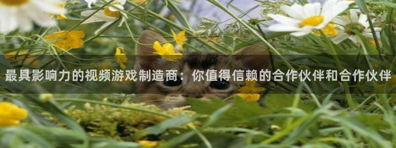 im电竞子图片