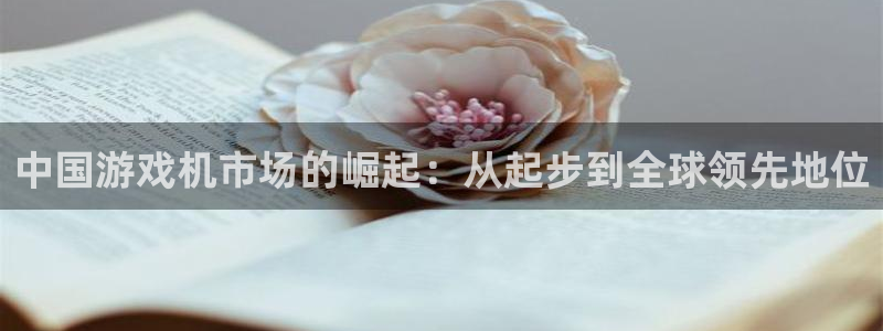 im电竞子教育科技(江门)有限公司：中国游戏机市场的崛起：从起步到全球领先地位