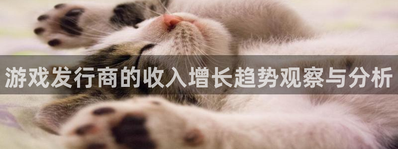 im电竞官网登录注册失败：游戏发行商的收入增长趋势观察与分析