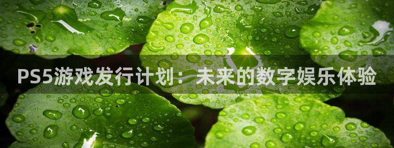 lvncesim电竞衣服价格