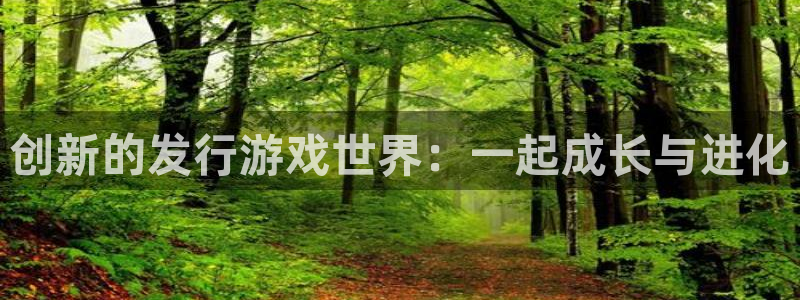 im电竞啤酒多少钱一箱