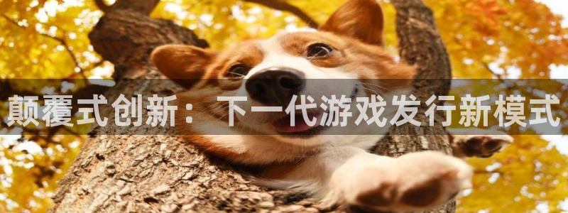 im电竞环境：颠覆式创新：下一代游戏发行新模式