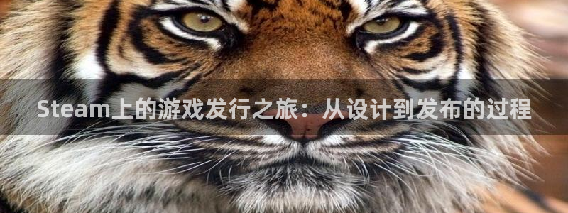 im电竞子文化创意有限公司特邀玩家：Steam上的游戏发行之旅：从设计到发布的过程