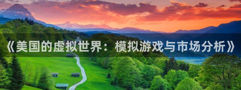 im电竞官网注册地址：《美国的虚拟世界：模拟游戏与市场分析》