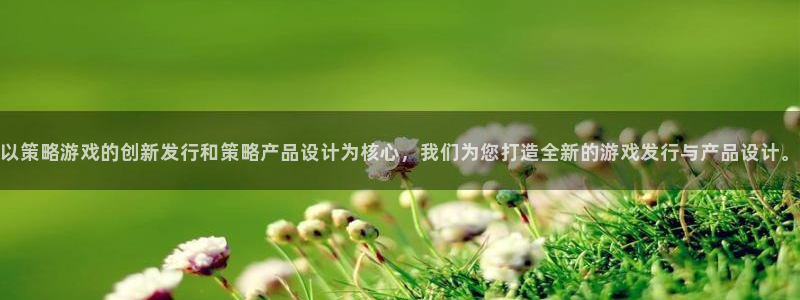 im电竞电子商务有限公司地址：以策略游戏的创新发行和策略产品设计为核心，我们为您打造全新的游戏发行与产品设计。