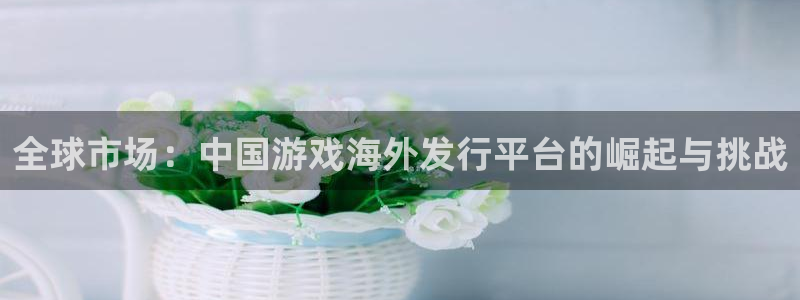 im电竞官网平台合法吗：全球市场：中国游戏海外发行平台的崛起与挑战