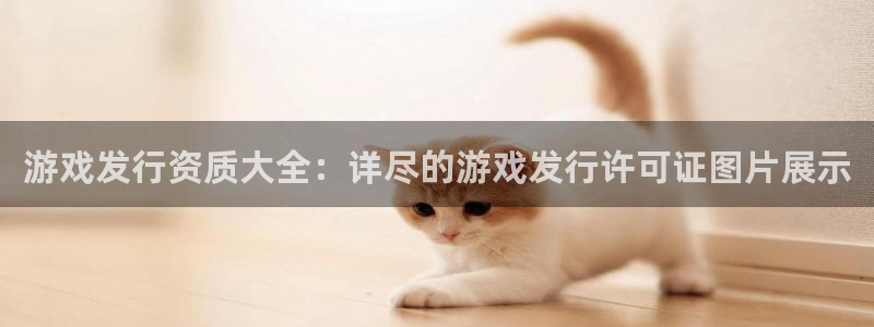 im电竞子财经图书