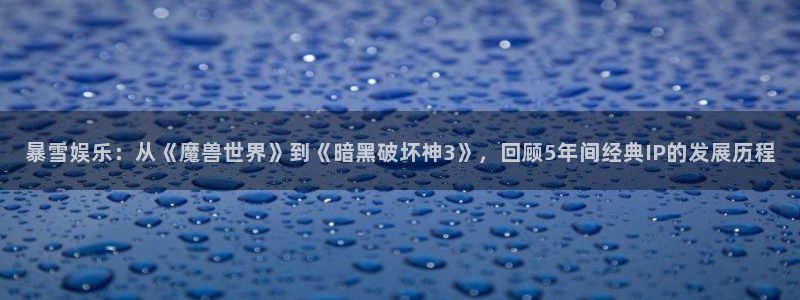 im电竞集团公司怎么样