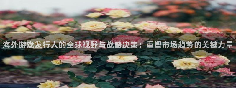 广东im电竞