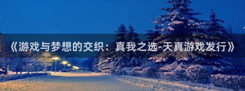 陕西im电竞子文化公司有什么游戏