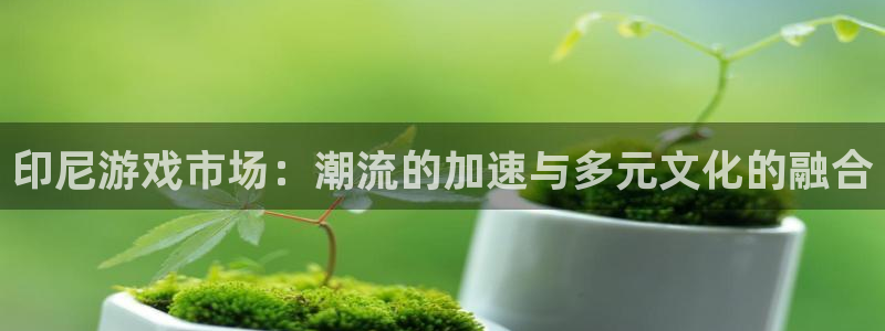 im电竞集团品牌策划机构